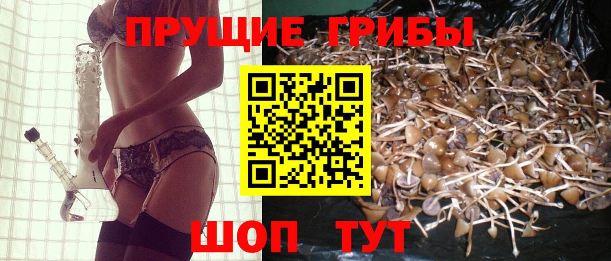 Галлюциногенные грибы ЛСД Ишим