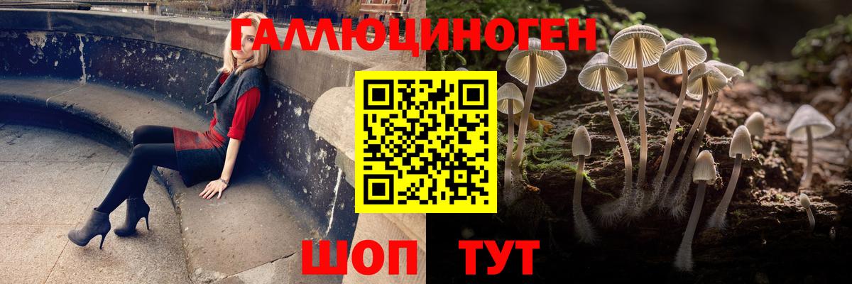Ишим  купить  сайты  Вход с VPN  Галлюциногенные грибы мицелий  Галлюциногенные грибы Magic Shrooms 